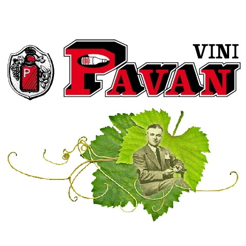 Vini Pavan